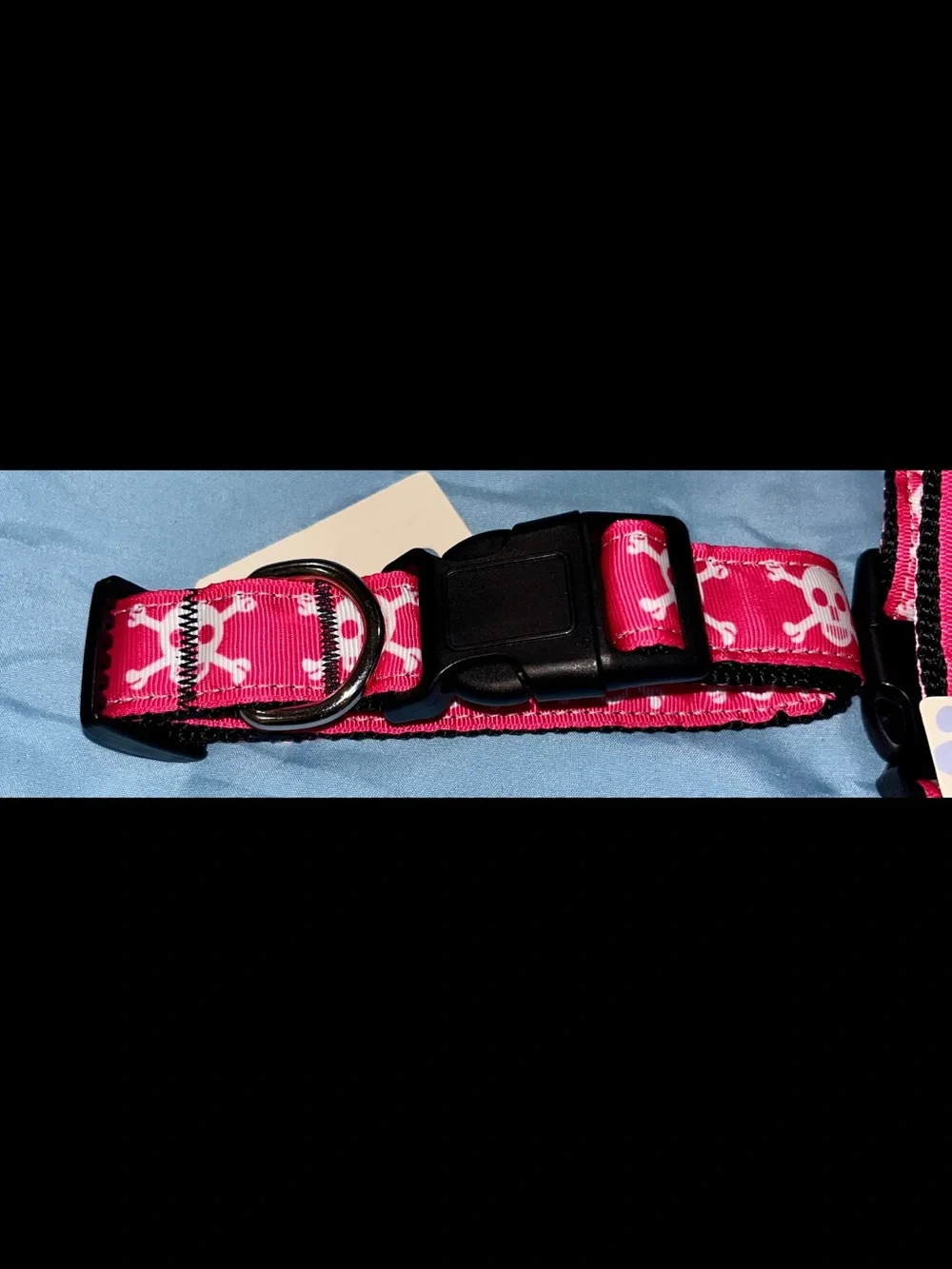 Mirage Pink Skull & Crossbones Adjustable Medium Pet Collar